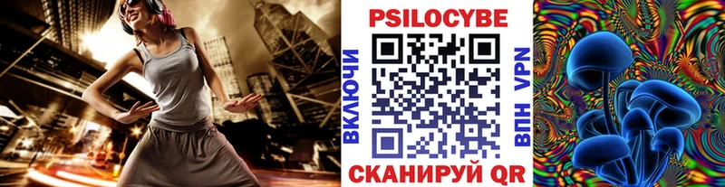 Псилоцибиновые грибы Cubensis  хочу   Эртиль 
